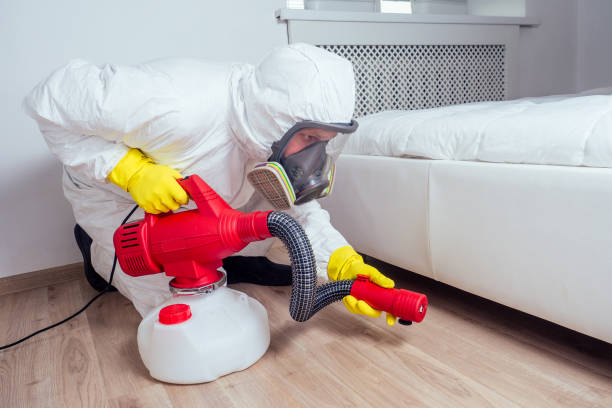 Best Real Estate Pest Inspections  in Edmonds, WA